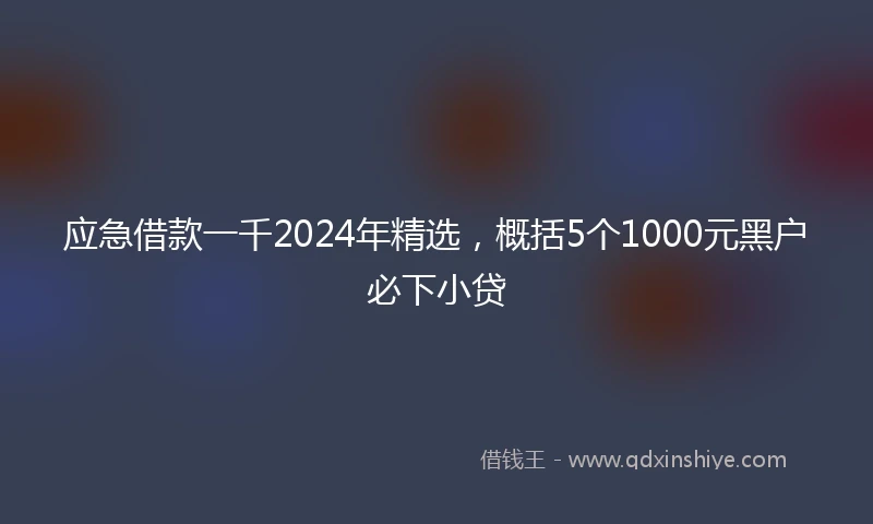 应急借款一千2024年精选，概括5个1000元黑户必下小贷