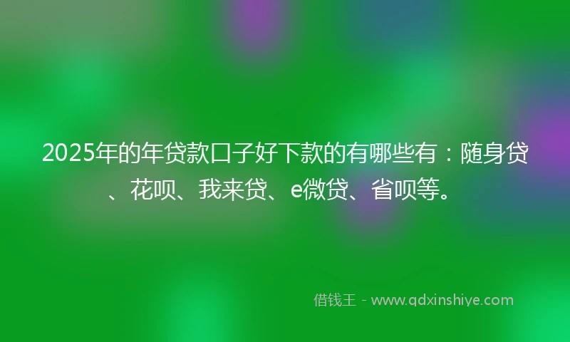 2025年的年贷款口子好下款的有哪些有：随身贷、花呗、我来贷、e微贷、省呗等。