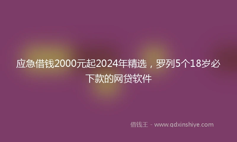 应急借钱2000元起2024年精选，罗列5个18岁必下款的网贷软件
