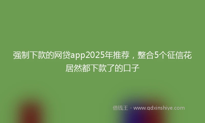 强制下款的网贷app2025年推荐，整合5个征信花居然都下款了的口子