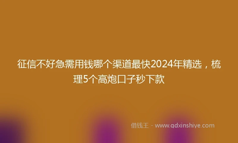 征信不好急需用钱哪个渠道最快2024年精选，梳理5个高炮口子秒下款