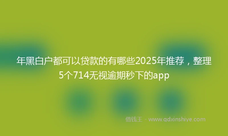 年黑白户都可以贷款的有哪些2025年推荐，整理5个714无视逾期秒下的app