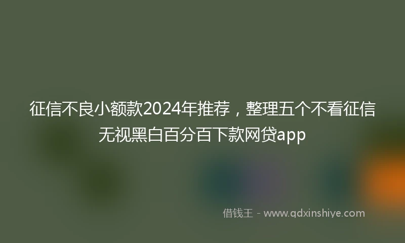 征信不良小额款2024年推荐，整理五个不看征信无视黑白百分百下款网贷app