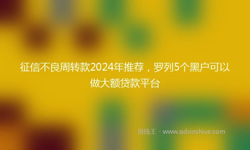 征信不良周转款2024年推荐，罗列5个黑户可以做大额贷款平台