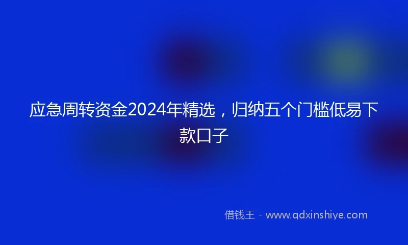 应急周转资金2024年精选，归纳五个门槛低易下款口子