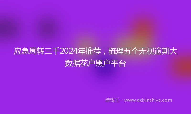 应急周转三千2024年推荐，梳理五个无视逾期大数据花户黑户平台