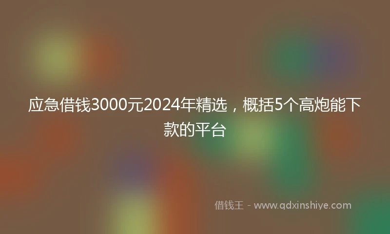 应急借钱3000元2024年精选，概括5个高炮能下款的平台