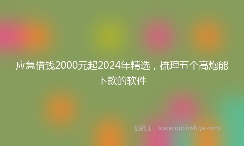 应急借钱2000元起2024年精选，梳理五个高炮能下款的软件
