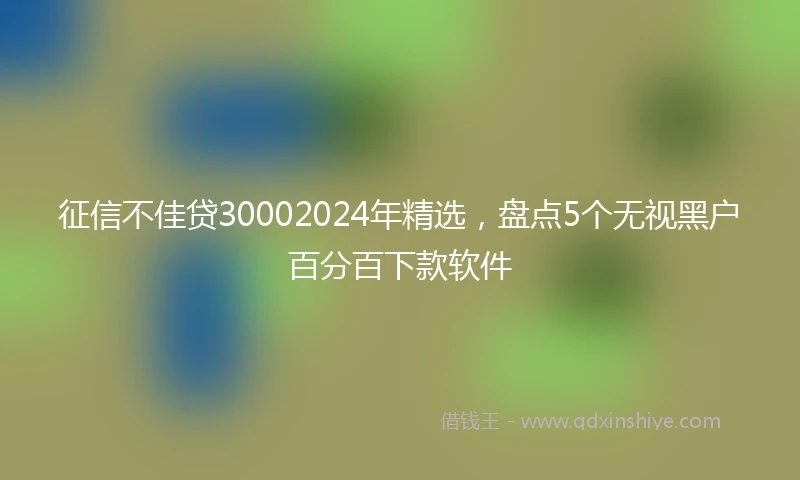 征信不佳贷30002024年精选，盘点5个无视黑户百分百下款软件