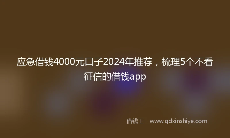 应急借钱4000元口子2024年推荐，梳理5个不看征信的借钱app