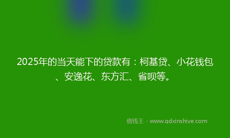 2025年的当天能下的贷款有：柯基贷、小花钱包、安逸花、东方汇、省呗等。