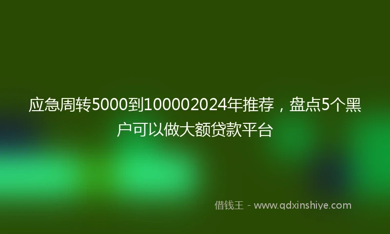 应急周转5000到100002024年推荐，盘点5个黑户可以做大额贷款平台