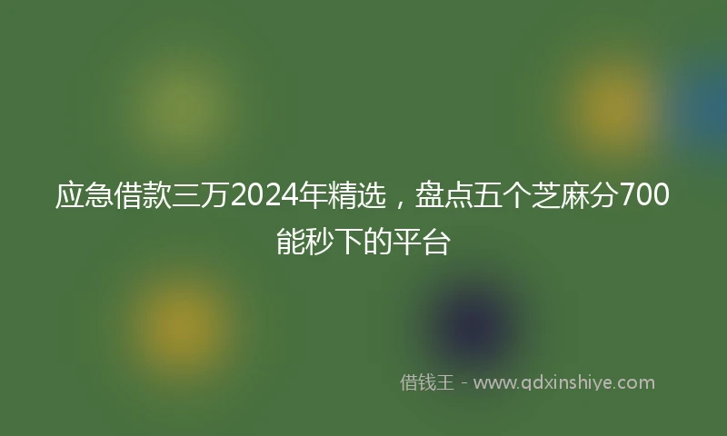 应急借款三万2024年精选，盘点五个芝麻分700能秒下的平台