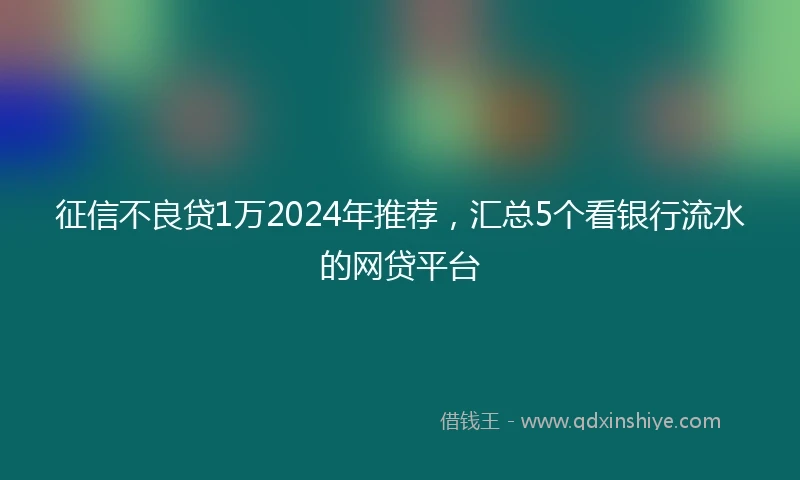 征信不良贷1万2024年推荐，汇总5个看银行流水的网贷平台