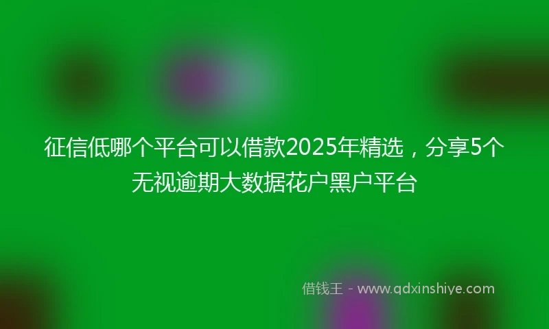 征信低哪个平台可以借款2025年精选，分享5个无视逾期大数据花户黑户平台