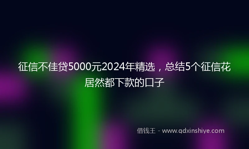 征信不佳贷5000元2024年精选，总结5个征信花居然都下款的口子