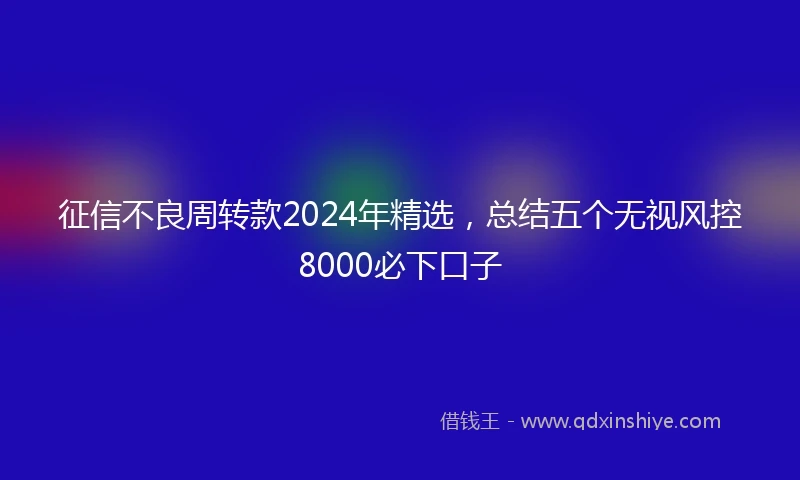 征信不良周转款2024年精选，总结五个无视风控8000必下口子