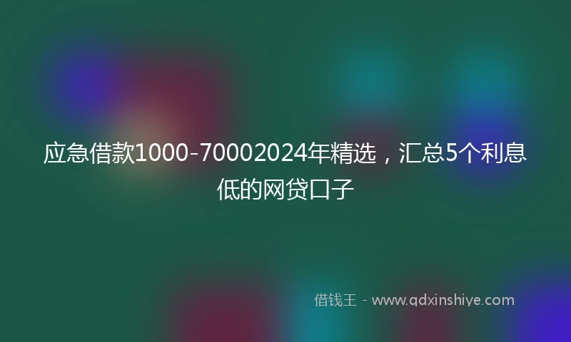 应急借款1000-70002024年精选，汇总5个利息低的网贷口子