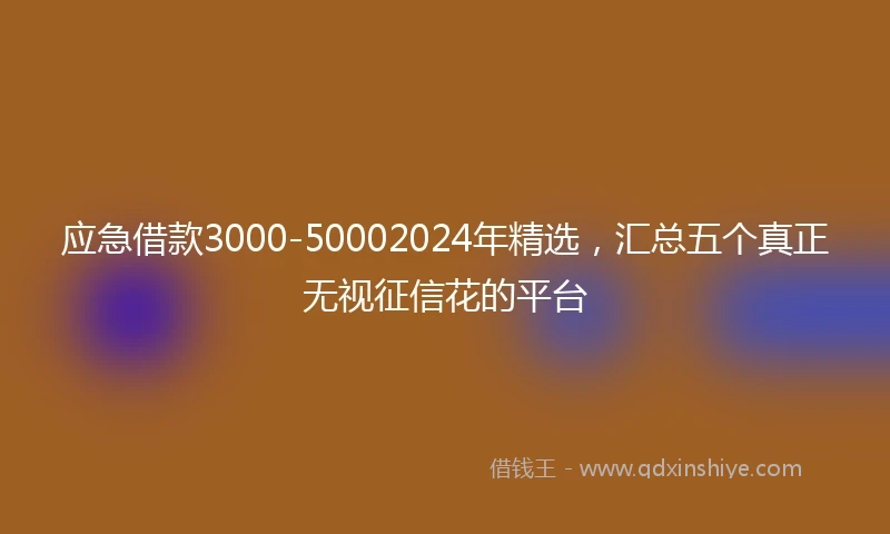应急借款3000-50002024年精选，汇总五个真正无视征信花的平台