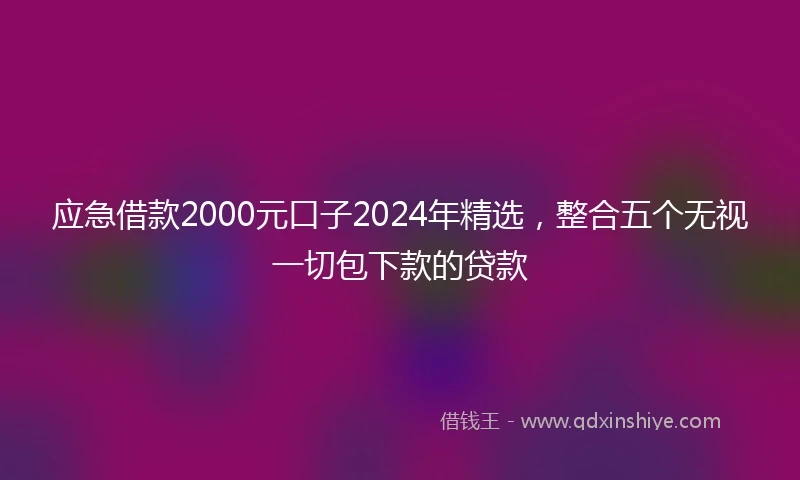 应急借款2000元口子2024年精选，整合五个无视一切包下款的贷款
