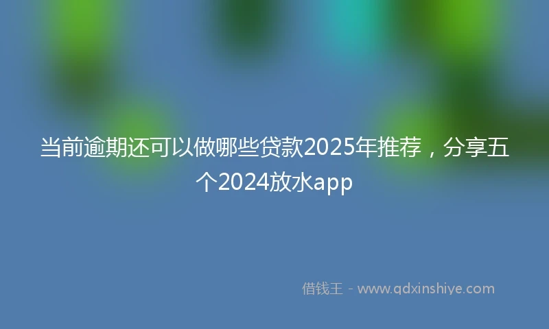 当前逾期还可以做哪些贷款2025年推荐，分享五个2024放水app