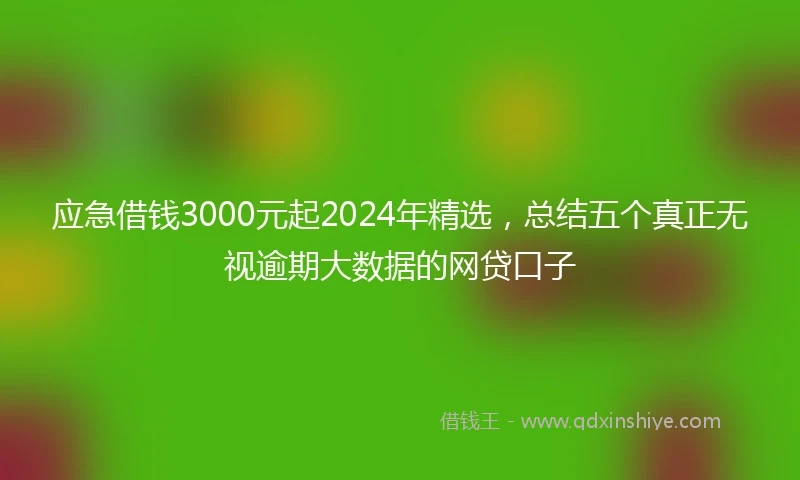 应急借钱3000元起2024年精选，总结五个真正无视逾期大数据的网贷口子