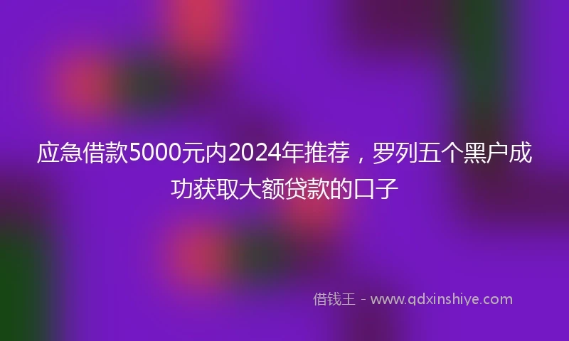 应急借款5000元内2024年推荐，罗列五个黑户成功获取大额贷款的口子