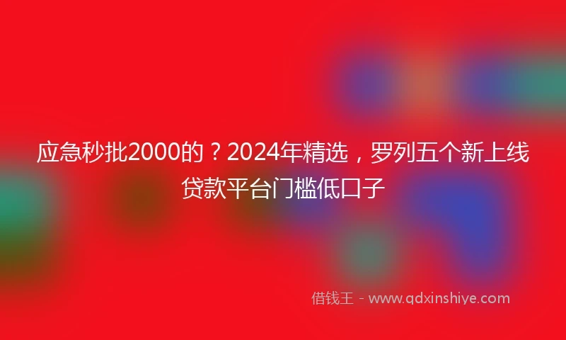 应急秒批2000的？2024年精选，罗列五个新上线贷款平台门槛低口子