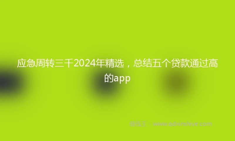 应急周转三千2024年精选，总结五个贷款通过高的app