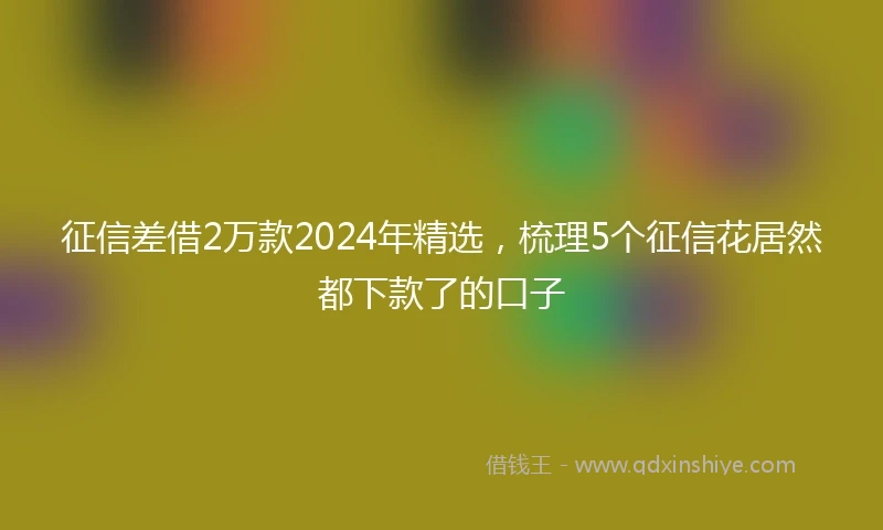 征信差借2万款2024年精选，梳理5个征信花居然都下款了的口子