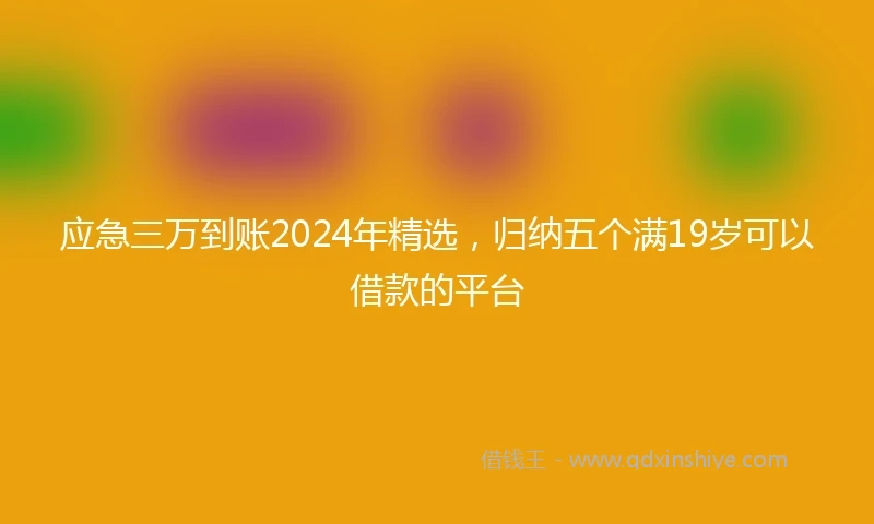 应急三万到账2024年精选，归纳五个满19岁可以借款的平台