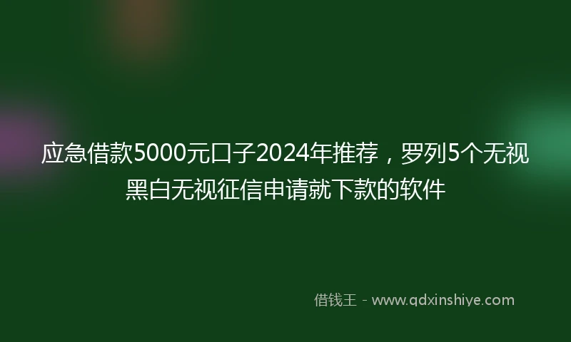 应急借款5000元口子2024年推荐，罗列5个无视黑白无视征信申请就下款的软件