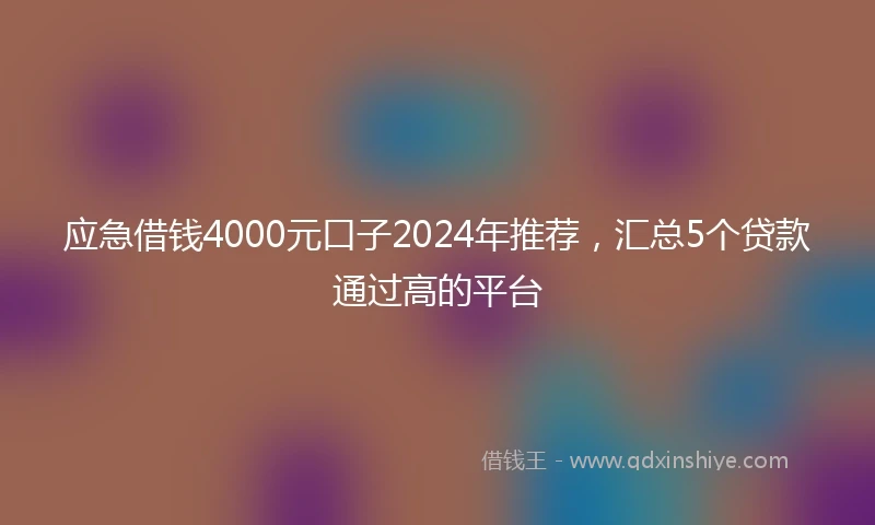 应急借钱4000元口子2024年推荐，汇总5个贷款通过高的平台