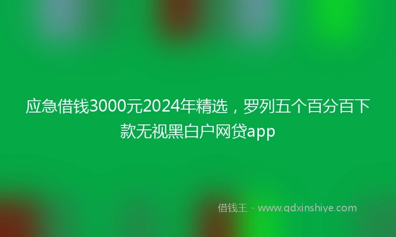 应急借钱3000元2024年精选，罗列五个百分百下款无视黑白户网贷app
