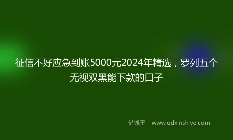 征信不好应急到账5000元2024年精选，罗列五个无视双黑能下款的口子