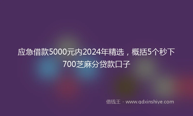 应急借款5000元内2024年精选，概括5个秒下700芝麻分贷款口子
