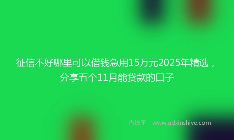 征信不好哪里可以借钱急用15万元2025年精选，分享五个11月能贷款的口子