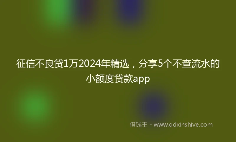 征信不良贷1万2024年精选，分享5个不查流水的小额度贷款app