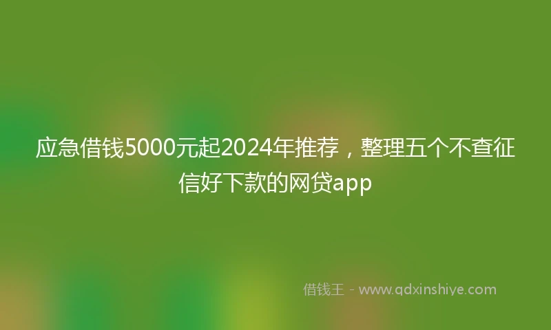 应急借钱5000元起2024年推荐，整理五个不查征信好下款的网贷app