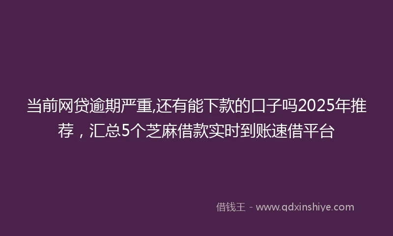 当前网贷逾期严重,还有能下款的口子吗2025年推荐，汇总5个芝麻借款实时到账速借平台