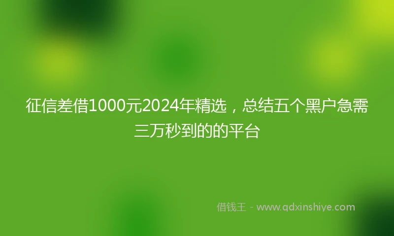 征信差借1000元2024年精选，总结五个黑户急需三万秒到的的平台