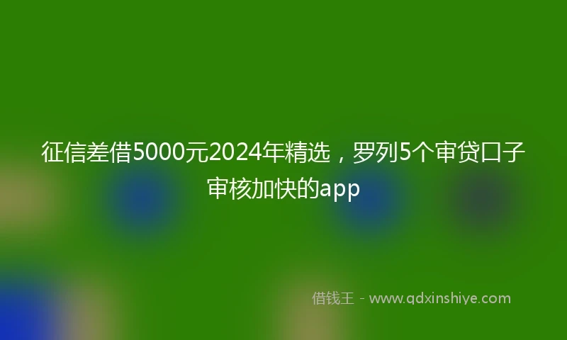征信差借5000元2024年精选，罗列5个审贷口子审核加快的app