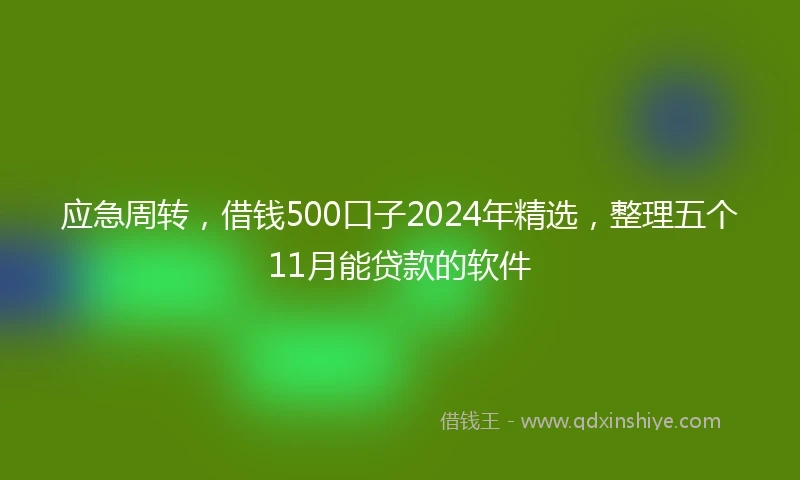 应急周转，借钱500口子2024年精选，整理五个11月能贷款的软件