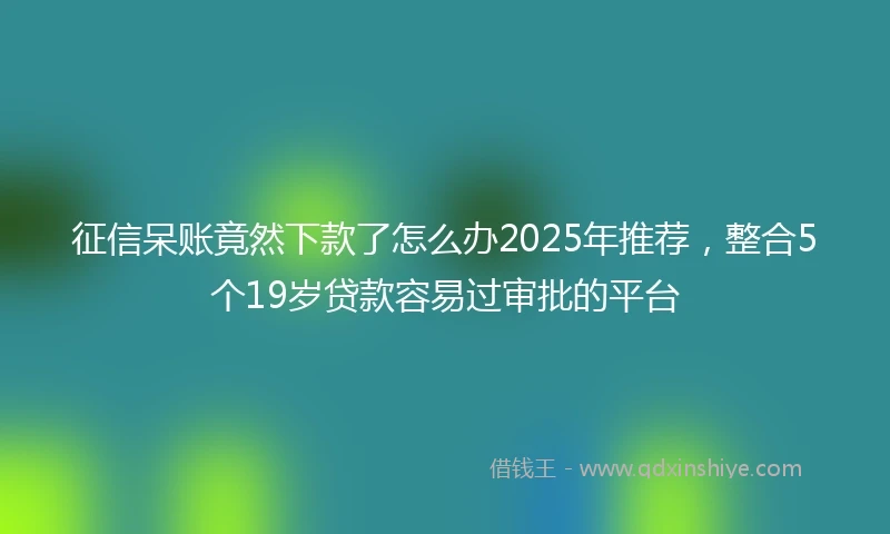 征信呆账竟然下款了怎么办2025年推荐，整合5个19岁贷款容易过审批的平台