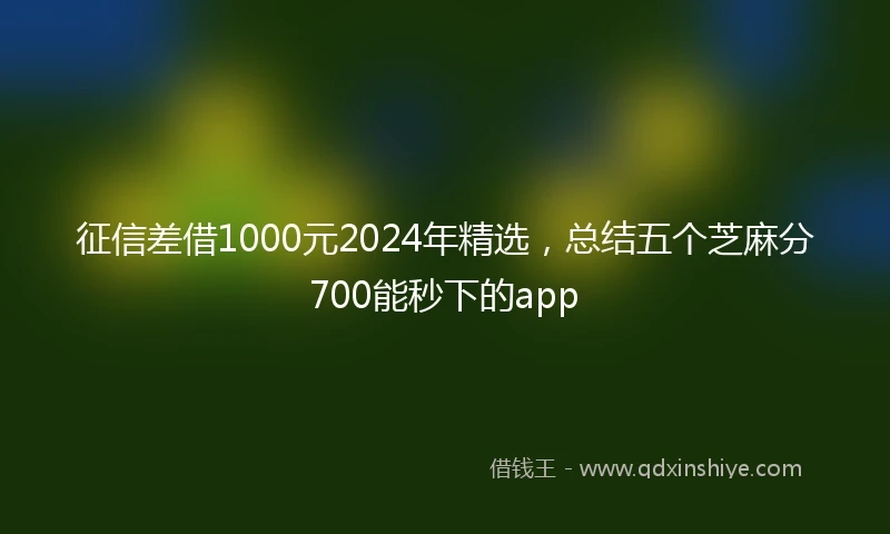 征信差借1000元2024年精选，总结五个芝麻分700能秒下的app