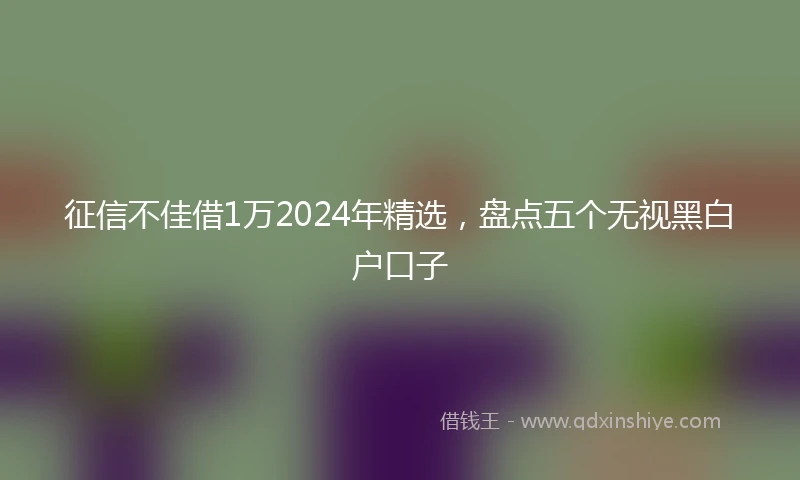 征信不佳借1万2024年精选，盘点五个无视黑白户口子