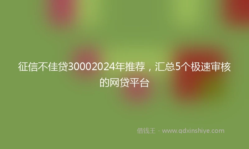 征信不佳贷30002024年推荐，汇总5个极速审核的网贷平台