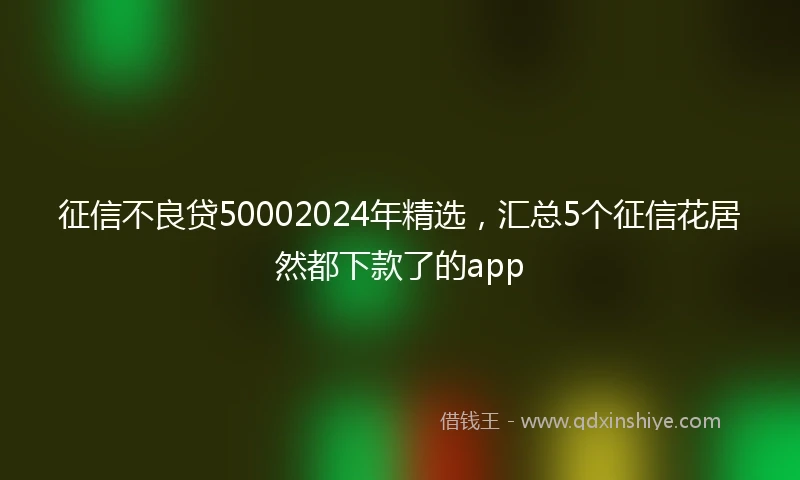 征信不良贷50002024年精选，汇总5个征信花居然都下款了的app