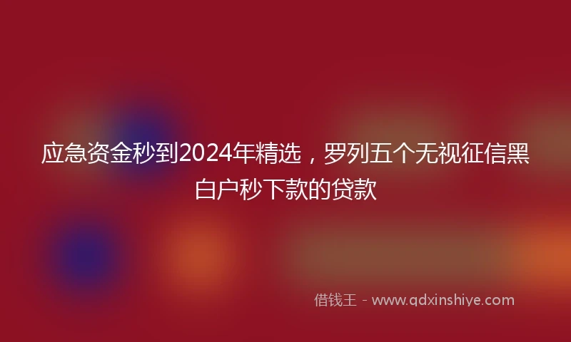 应急资金秒到2024年精选，罗列五个无视征信黑白户秒下款的贷款