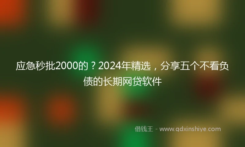 应急秒批2000的？2024年精选，分享五个不看负债的长期网贷软件